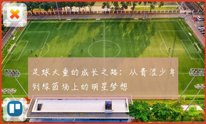 足球大童的成长之路：从青涩少年到绿茵场上的明星梦想