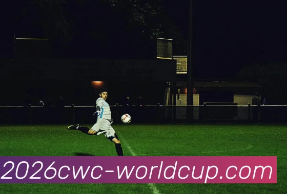 2026世界杯平台生态图